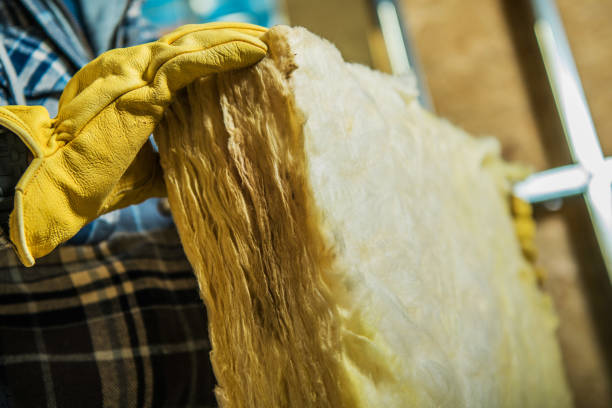 Best Cellulose Insulation in Atasdero, CA